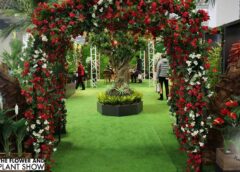 The Flower and Plant Show
