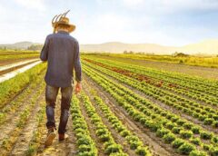 TEKNOFEST’te tarım teknolojileri